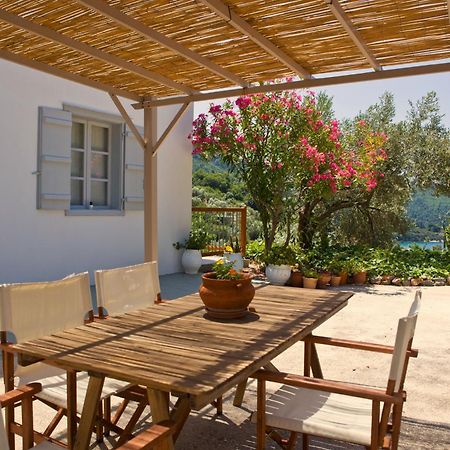 Skalopati Studios & Villa Panormos  المظهر الخارجي الصورة