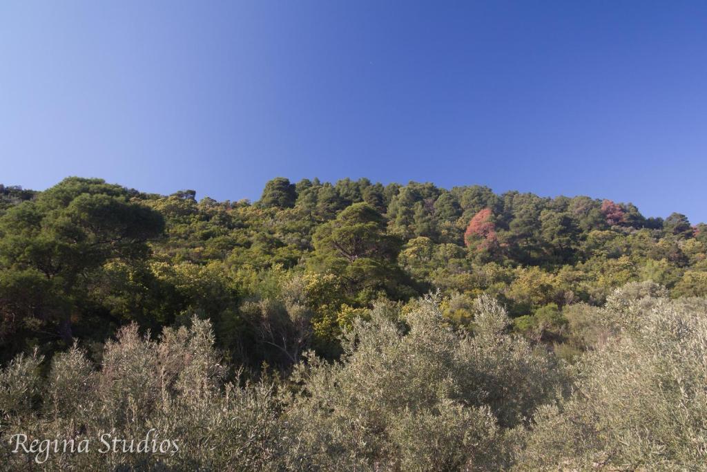 Skalopati Studios & Villa Panormos  المظهر الخارجي الصورة