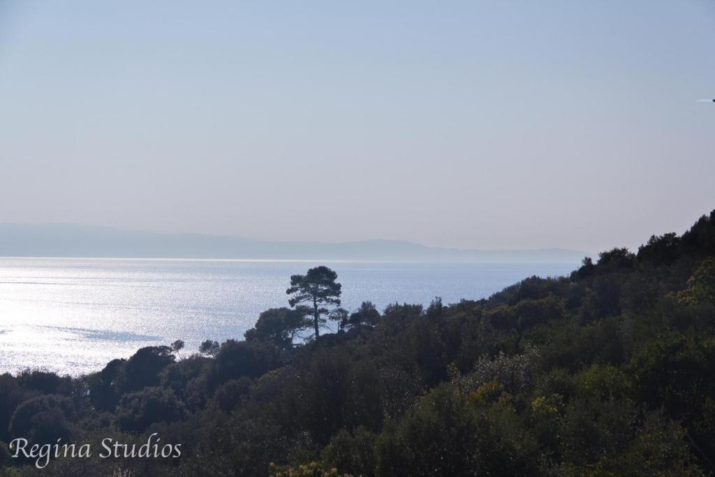 Skalopati Studios & Villa Panormos  المظهر الخارجي الصورة